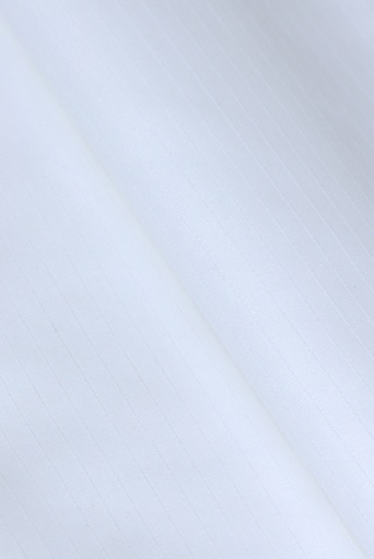 الكوت