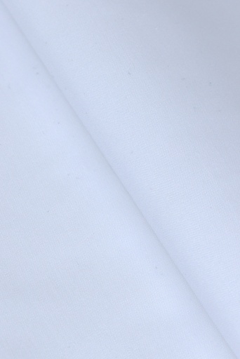 S1